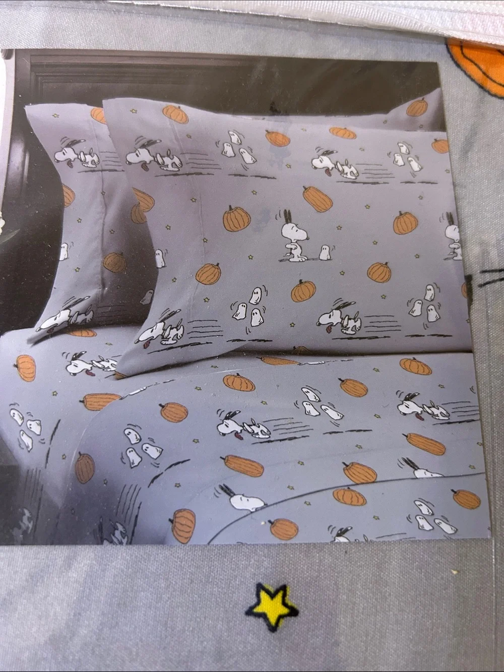 Berkshire Home Peanuts Snoopy Ghosts Pumpkins Halloween Queen Gray Sheet Set New
